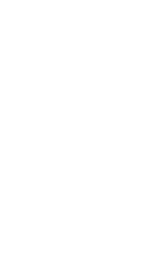 49 Der Drache 